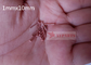 যথার্থ যন্ত্রের জন্য 1mmx10 মিমি কার্বন ইস্পাত নিরোধক সিডি ওয়েল্ড পিন